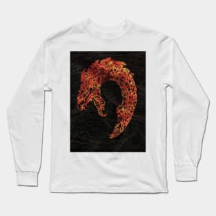 Dragon Fury Long Sleeve T-Shirt